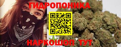 крисы Волжск